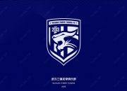 记者：武汉三镇13名球员合同到期，不少已开始寻找下家